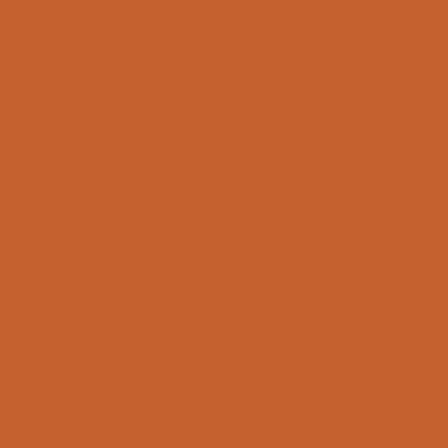 P00340 Zinnia
