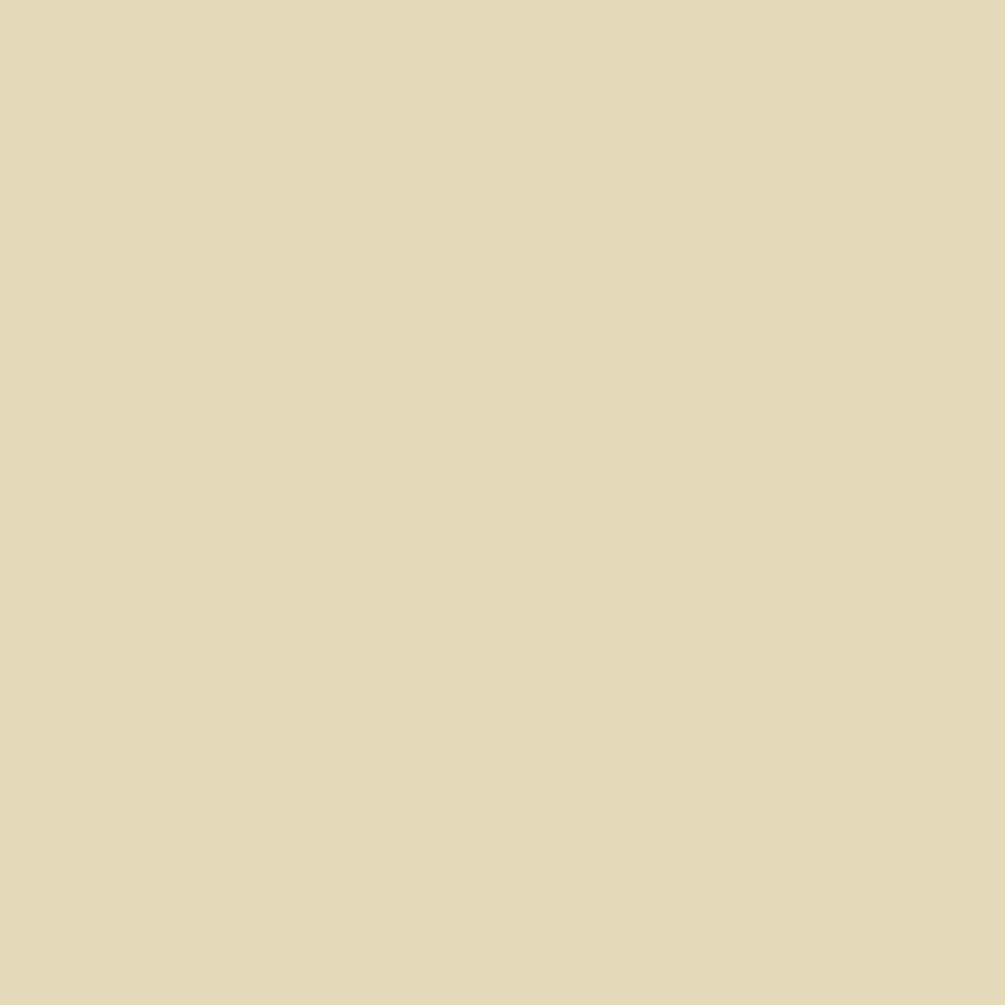 P01503 Putty