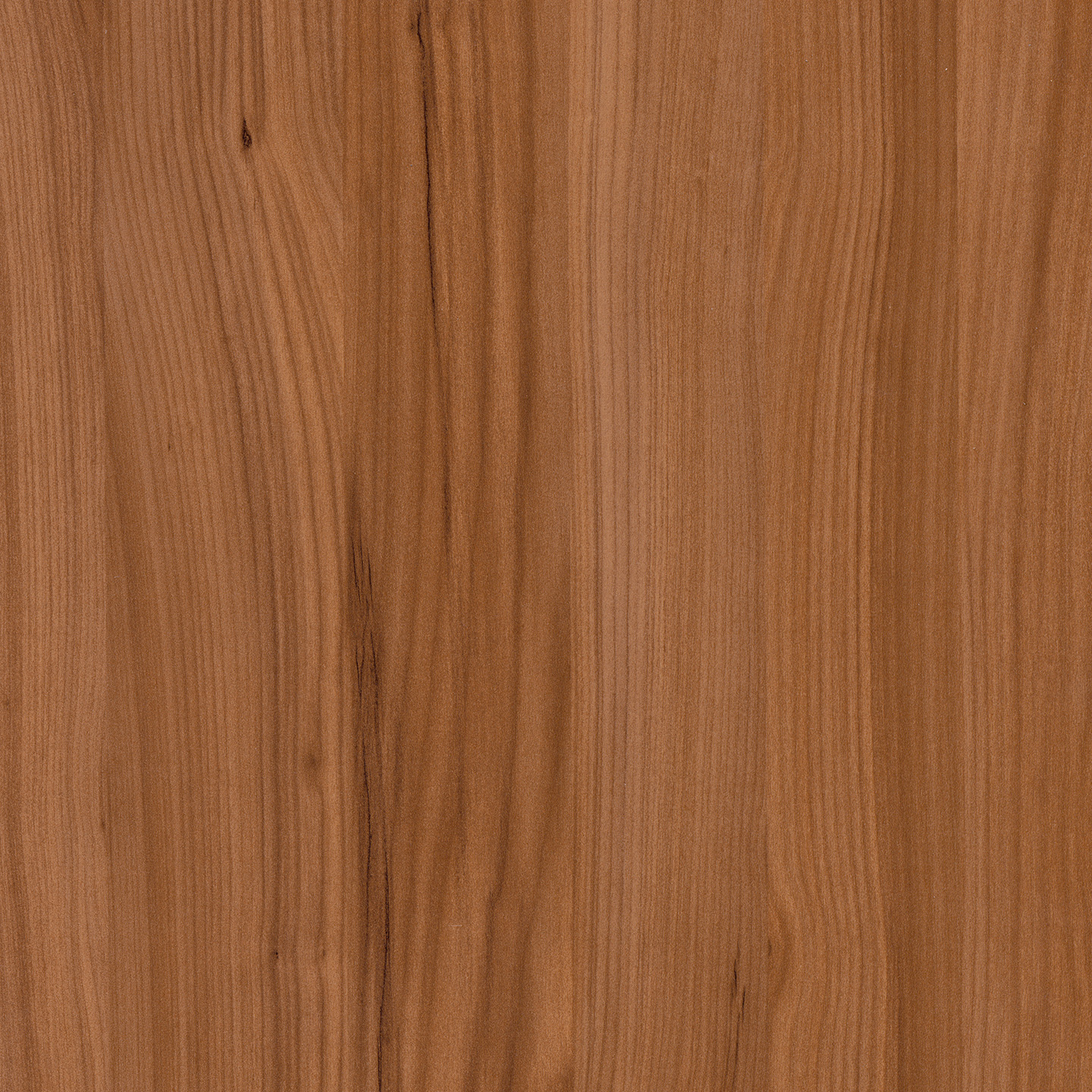 P04109 Piave Cherry