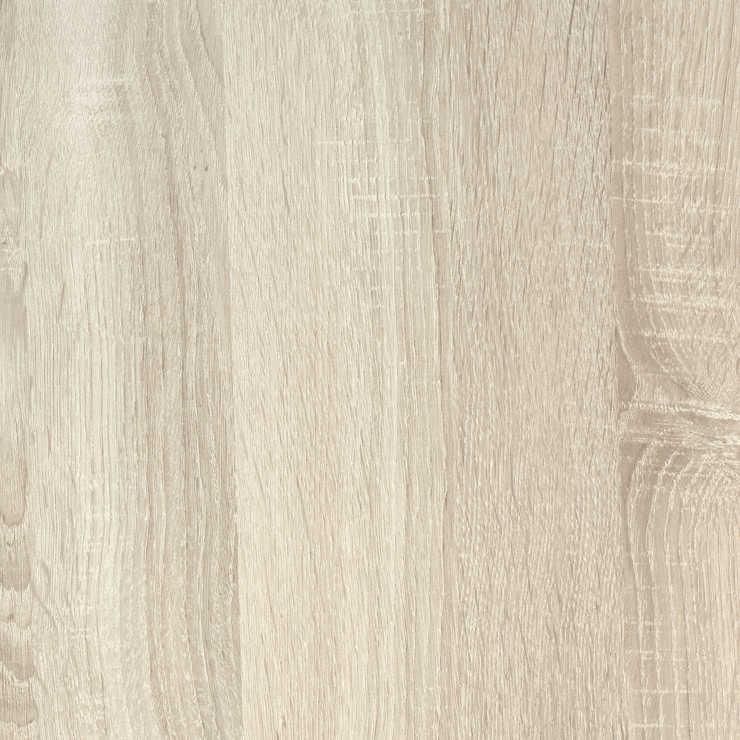 P04165 Solano Oak