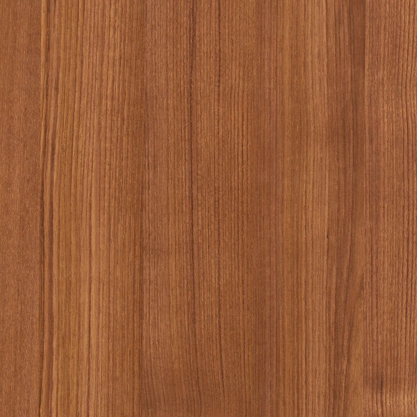 P04425 Sun Teak