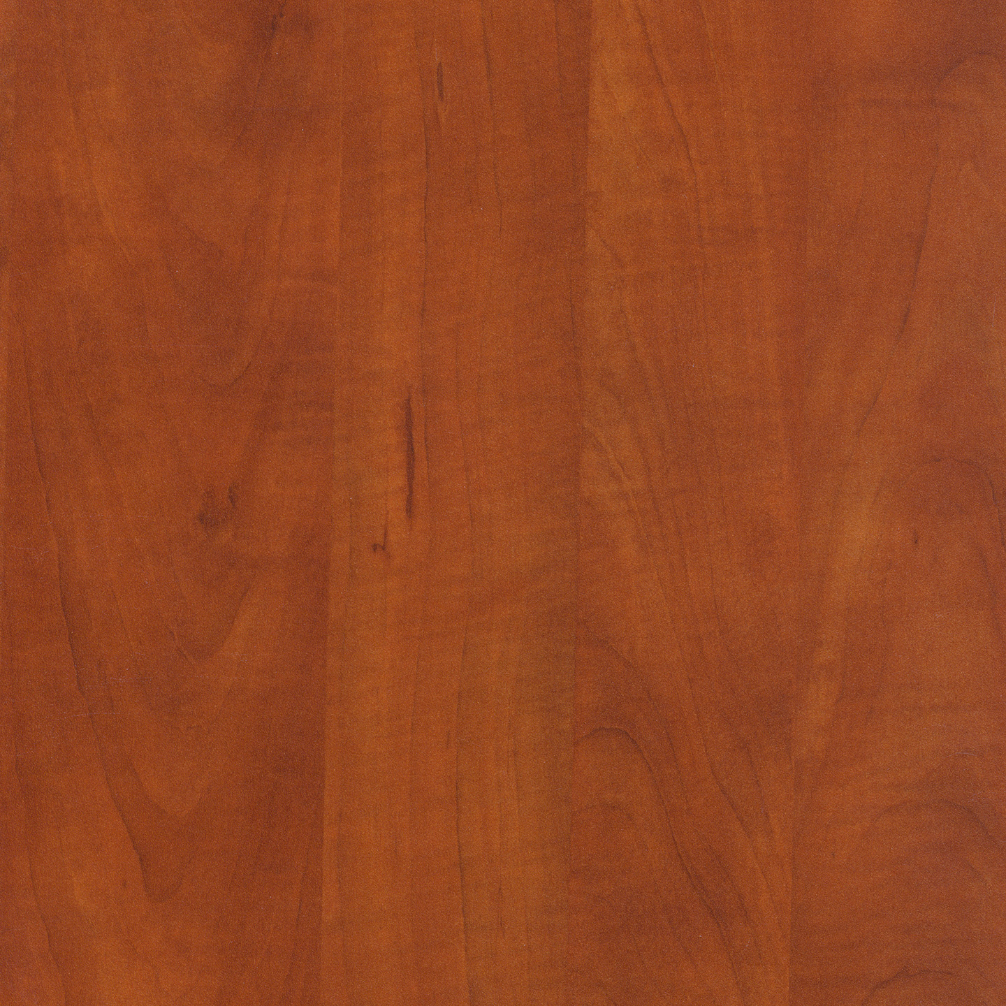 P04428 Delight Cherry