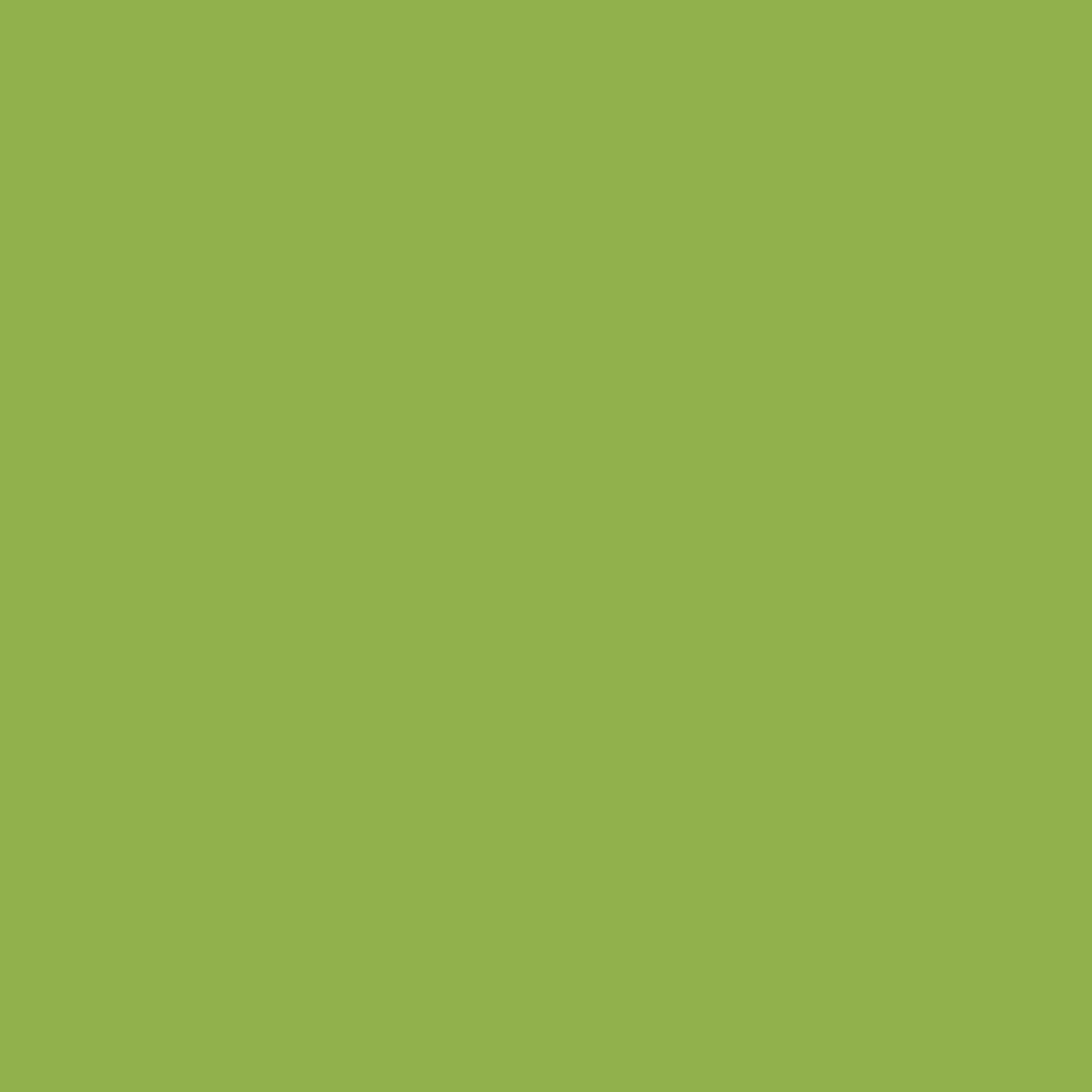 P09429 Parrot